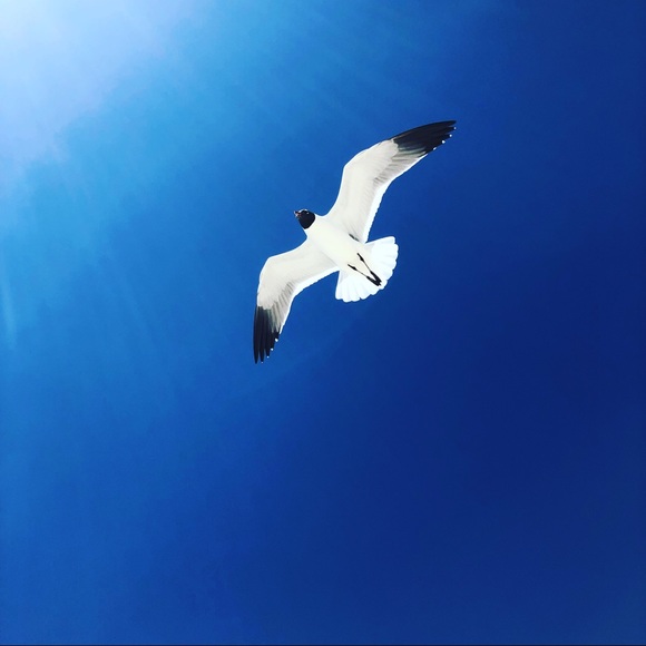 Meet your Posher, Gina - Picture 5 of 7